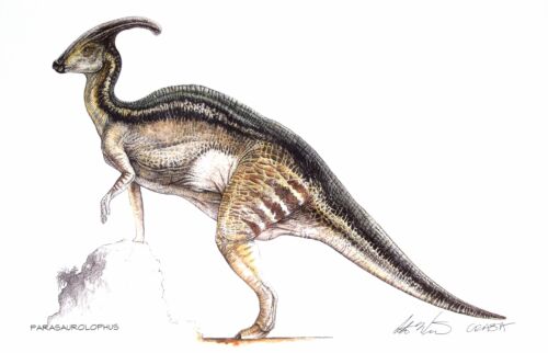 Jurassic Park Collection Edizione Limitata Stampe d'Arte (stampe individuali dinosauri) - Foto 10 di 19