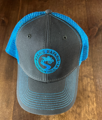 Scenic Safaris-Jackson Hole, Wyoming-blau/grau Snapback Trucker-Stil Mütze/Kappe