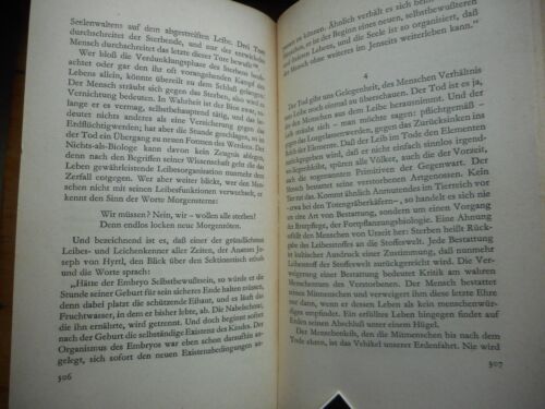 Herbert Fritsche: Der Erstgeborene, ein Bild des Menschen, 1941 S. Fischer - Bild 16 von 21