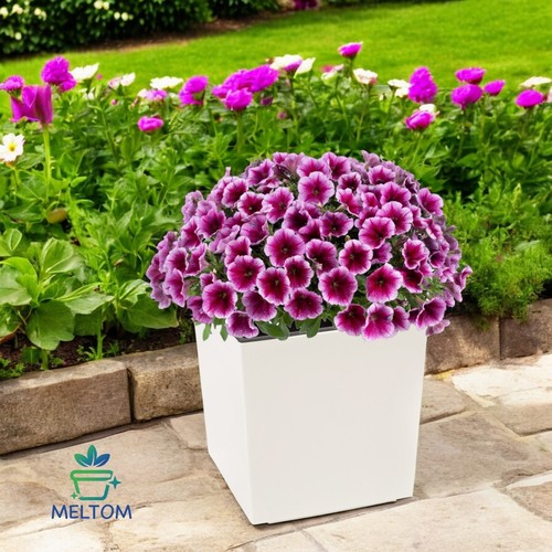 Blumentopf Hochglanz Quadrat mit Einsatz – Pflanzkübel 6 Farben Modern Elegant - Bild 18 von 27