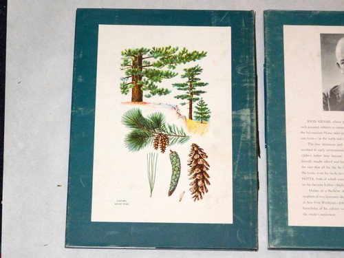 3 Book Set John Kieran An Introduction To Nature Birds Wildflowers Trees - Picture 8 of 12