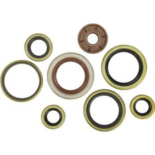 Winderosa - 822320 - Oil Seal Kit