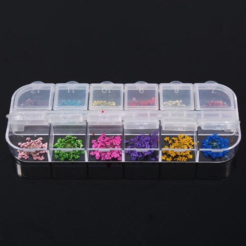 12Colors Nail Decoration Real Dried Flower Manicure Gel Tips Design Accessor TOU - Picture 6 of 10