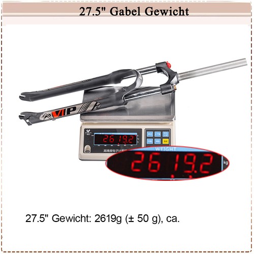 BUCKLOS Federgabel Scheibenbremse 100mm Federweg MTB Fahrrad 26/27.5/29" 9mm QR - Bild 9 von 16