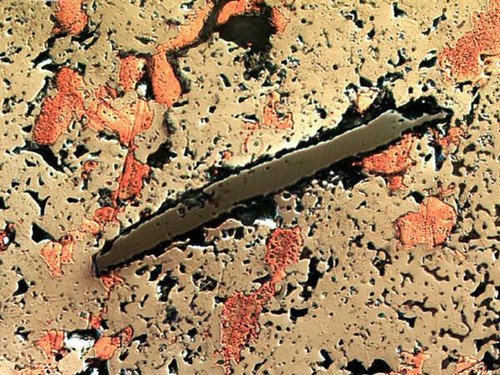 Microscopio compuesto metalúrgico AmScope 40X-640X Infinity Plan - Imagen 7 de 8