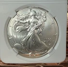 2021 Type 2 American Silver Eagle Uncirculated Bullion $1 Coin