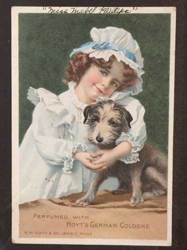 SIX ORIGINAL VICTORIAN ADVERTISING CARDS IN A NICE GESSO FRAME - Bild 6 von 9