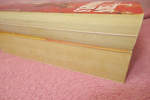 FERN MICHAELS Build-A-Lot - The Sisterhood + Men Of The Sisterhood +Godmothers+ - Foto 397 di 429