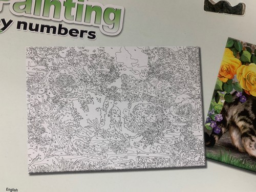 Gioco gattino dipinto per numero Royal & Langnickle PJL45 nuovo, mai aperto - Foto 9 di 11