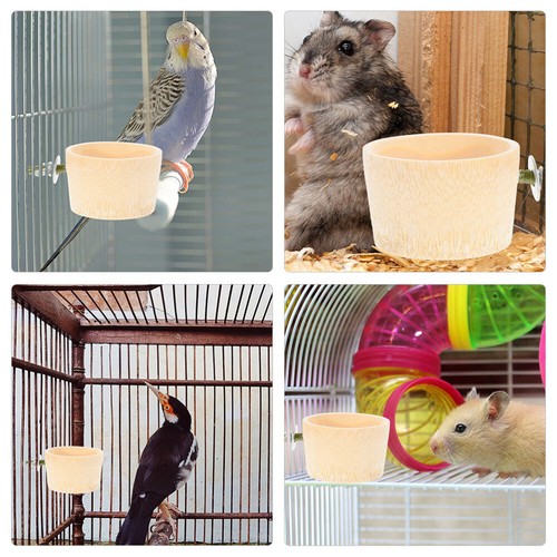 10 Pcs Parrot Breeding Supplies Bird Accessories Vis De Cage À Oiseaux Support économies