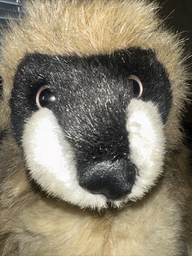JAAG Vintage Plush Rare Raccoon? Only One Online With This Face! Jointed 15 Inch - Picture 6 of 9