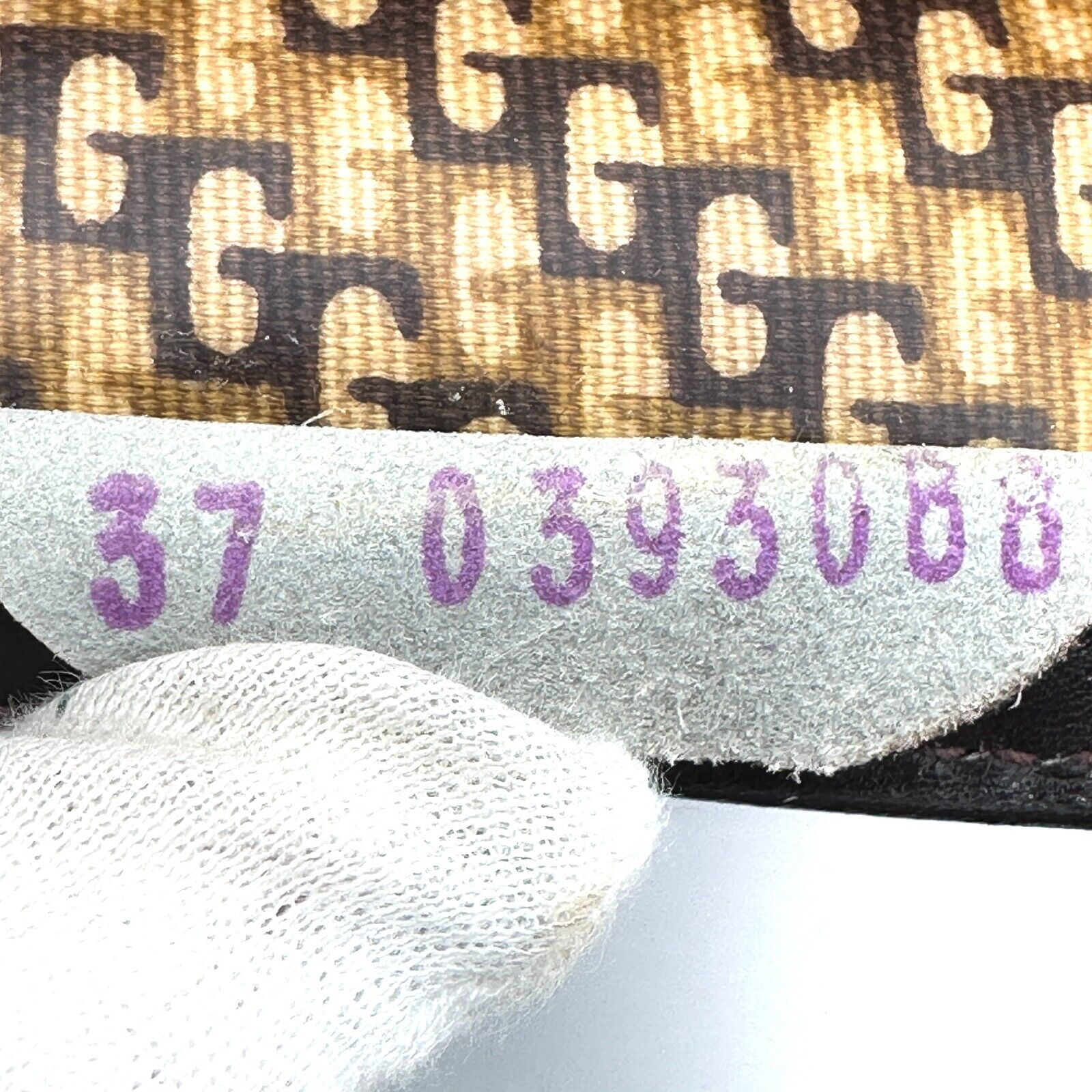 Picture 22 of 24