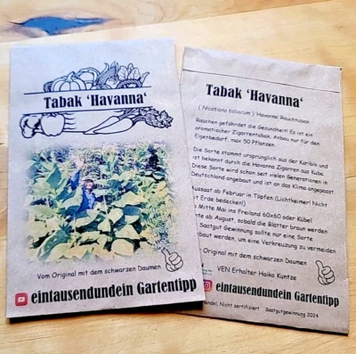 TABAK  "Hava nna" ca. 250 Samen Saatgut für raues Klima gut geeignet Zigarren - Bild 1 von 4