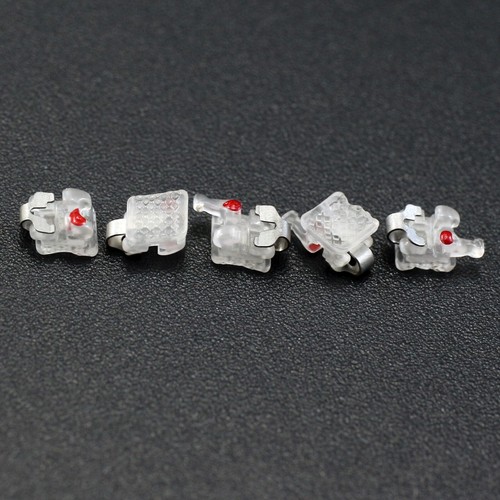 Soporte autoligable dental DAMON Q AO ortodoncia cerámica metal soporte Roth MBT - Imagen 50 de 151