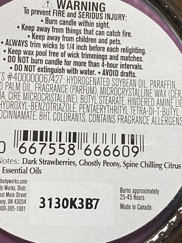 Bath & and Body Works Ghoul Friend Single Wick Candle 7 oz. NEW! - Bild 7 von 9