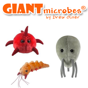Giant Microbes Set of 3 Plague Inc Neurax Worm, Nano-Virus and Bio-Weapon Plush Giant Microbes Set of 3 Plague Inc Neurax Worm, Nano-Virus and Bio-Weapon Plush