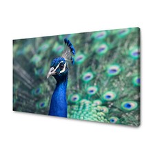 CANVAS Leinwandbilder XXL Wandbilder Kunstdruck Pfau - Majestätische Schönheit 