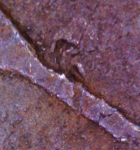 1952 S BALL "S" SERIF Die Chip / Cud Wheat Penny Cent ERROR 3019 - Ali - Picture 7 of 12