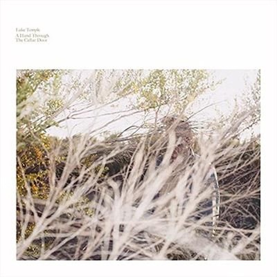 Hand Through the Cellar Door - Luke Temple Vinyl