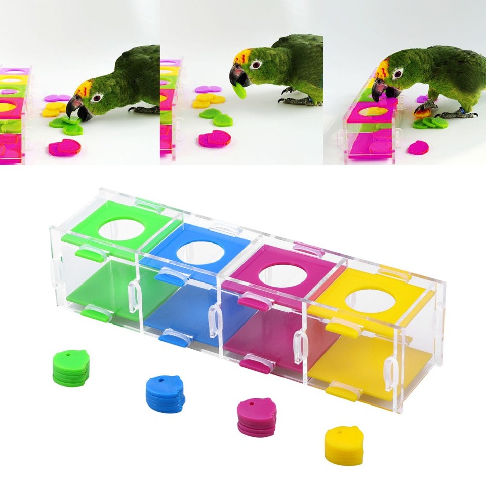 Parrot Coin Machine Coin Box Bird Colors Intelligence Training Toy for Parrot Macaw Playing ...