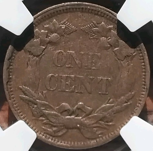 1858 Flying Eagle Cent NGC VF35 Small Letters #3735 - Picture 3 of 11
