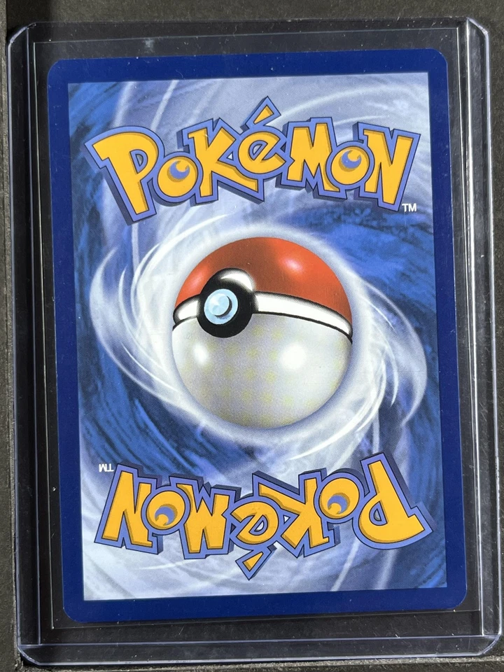 Feraligatr #213 SV: Scarlet & Violet Promo Cards 250001 - Image 2 of 2