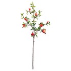 1PC Home Decorative Fruit Branch Floral Arranging Pomegranate Berry Branch (Red)