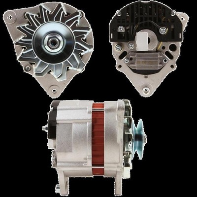 Original Neu Mahle Lichtmaschine passend für Landini   MG550 65 A