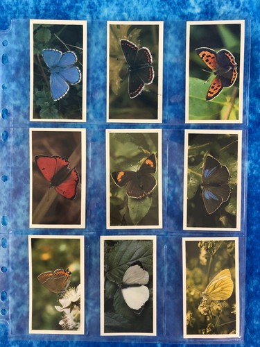 John Player & Sons - Grandee British Butterflies Juego completo de 32 cartas 1983 - Imagen 6 de 9