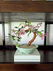 Vintage Chinese Jade Gemstone Bonsai Tree Pink Blossoms Celadon Pot 10"x12"