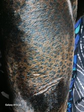1 yard Dark Brown leopard faux fur Fake Fur Fun super special Halloween special