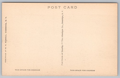 Public Library Cazenovia NY c1920 Street Scene Albertype Postcard Unposted - Picture 2 of 2