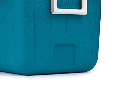 Coleman Cooler—Chiller 48 Quart Cooler - Picture 4 of 5
