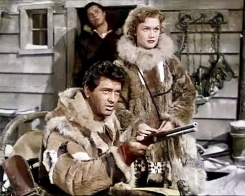 Allen Gefahren zum Trotz * DVD Wildnis-Abenteuer mit Rock Hudson * Pidax Neu - Bild 2 von 5