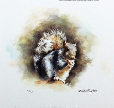 MANDY SHEPHERD /"Grey Squirrel/" wildlife LTD ED SIGNED SIZE:23cm x 24cm NEW RARE