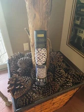 Re-Design with Prima SALTWATER LIFE Transfer