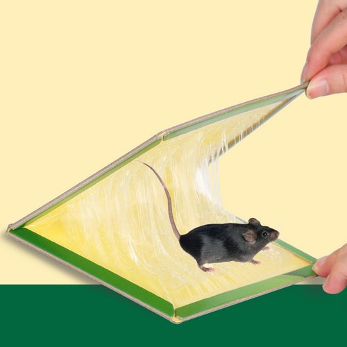 Mouse Glue Traps Large Size Mouse Traps Sticky Pad with Enhanced Stickiness Pest - Picture 8 of 25