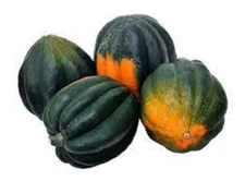 Premium Table King Bush Acorn Winter Squash - Fresh Heirloom Seed Very prolific!