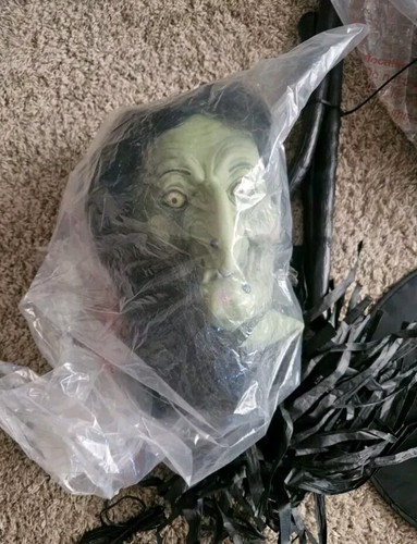 Holiday Living Lifesize Led Light Animated Evil Witch Broom Haw Halloween Lowe's - Picture 4 of 10