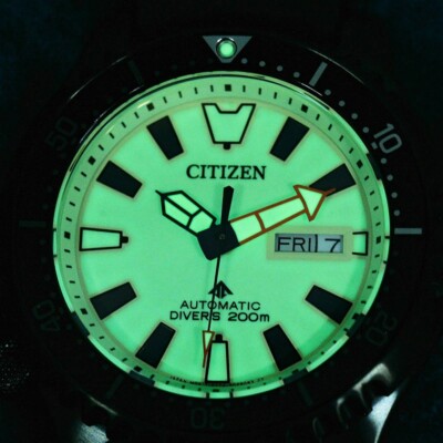 CITIZEN PROMASTER Fugu Limited Edition 1989pcs Diver's 200m