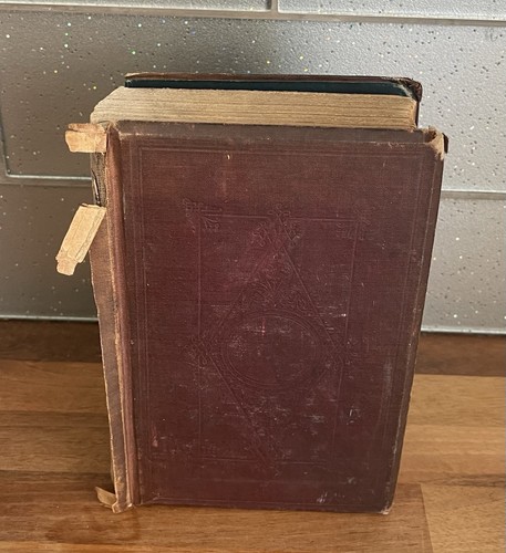 1886 Outlines of Lectures on Physiology T. Wesley Mills McGill University BOOK - Picture 2 of 8