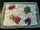 Pottery Barn Kids Max Bug Insect Quilted Bed Pillow Shams Standard Embroidered