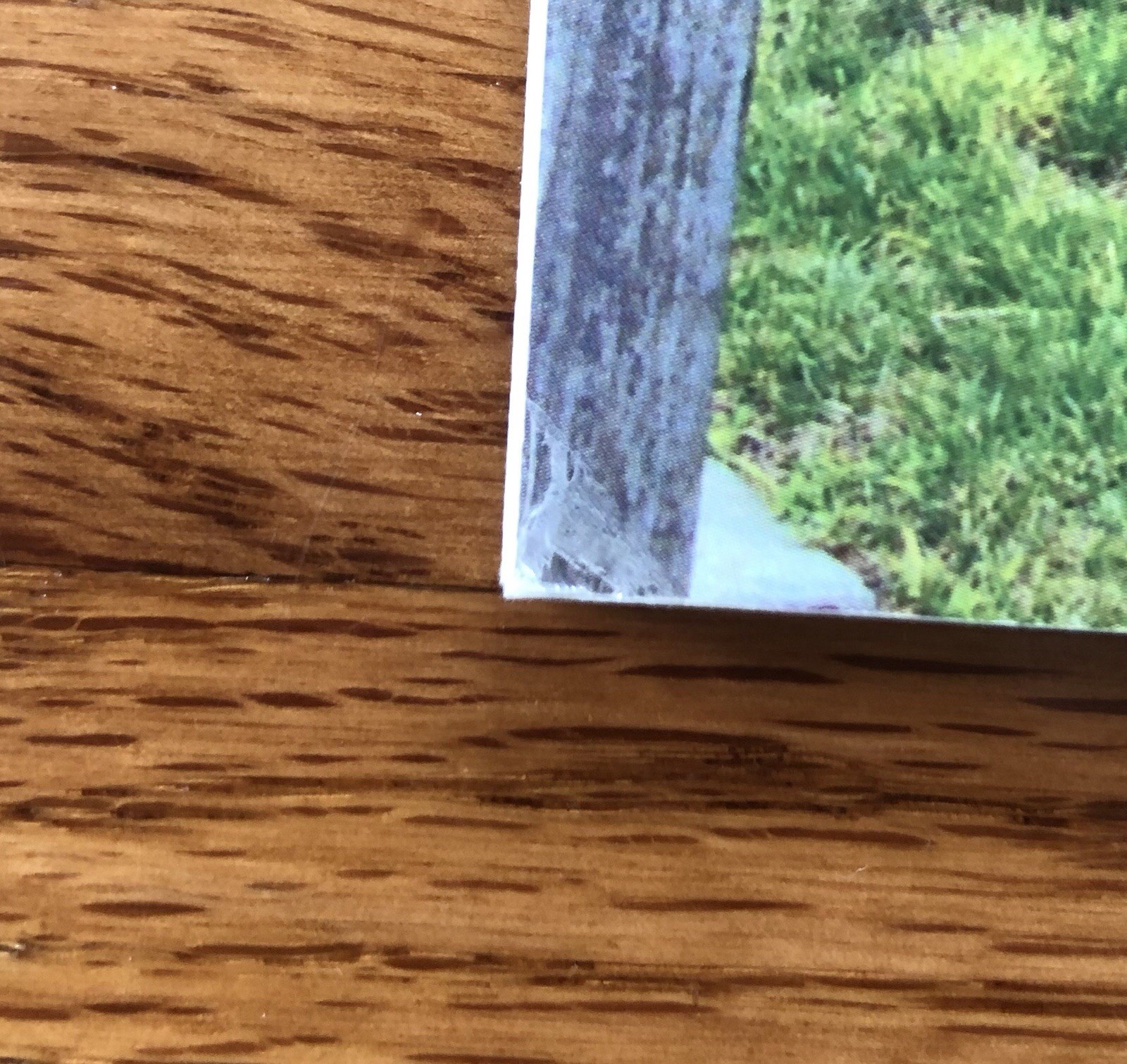 Picture 5 of 13