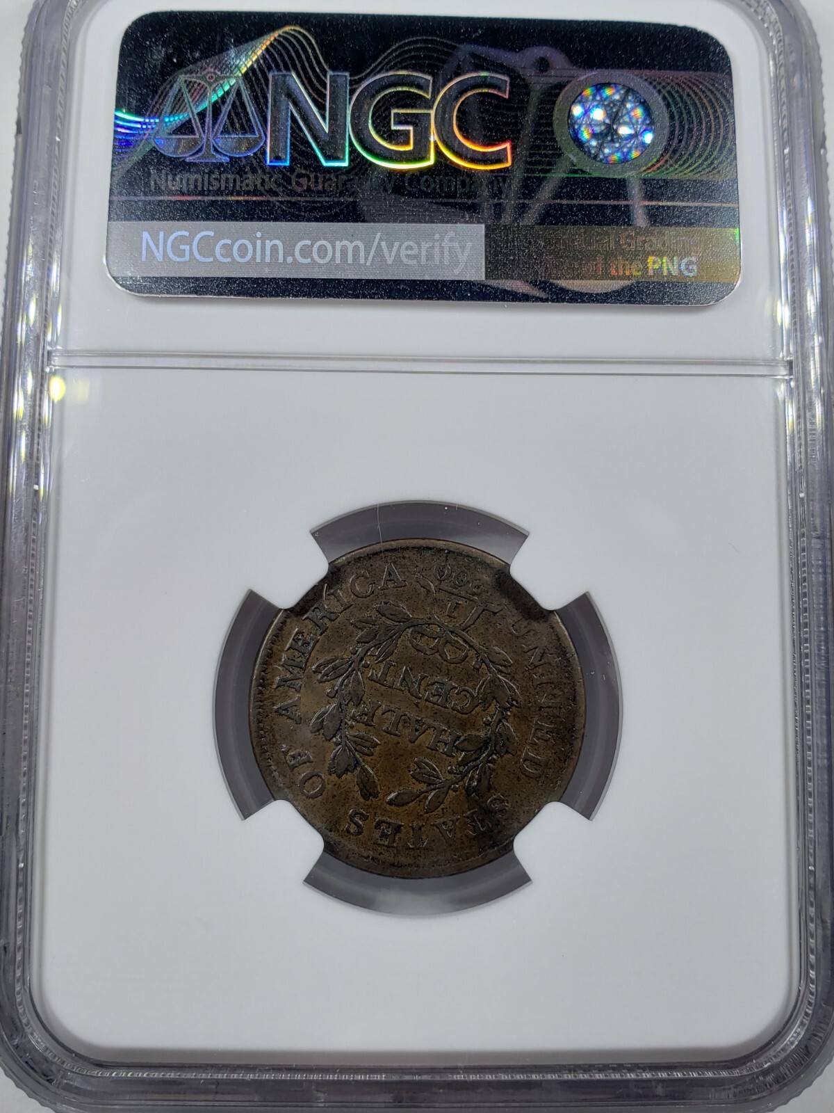 Picture 4 of 4