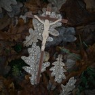 Bild 5 von 11