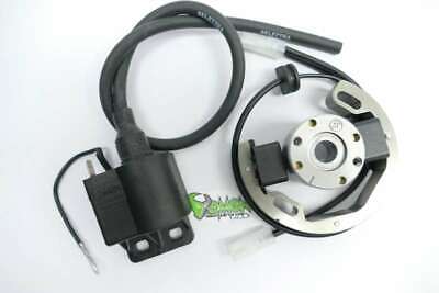 KTM SX 50 Zündspule Selettra Minicross SX 50 Minibike R2904 Dmon-parts.de OEM KTM SX 50 Zündspule Selettra Minicross SX 50 Minibike R2904 Dmon-parts.de OEM