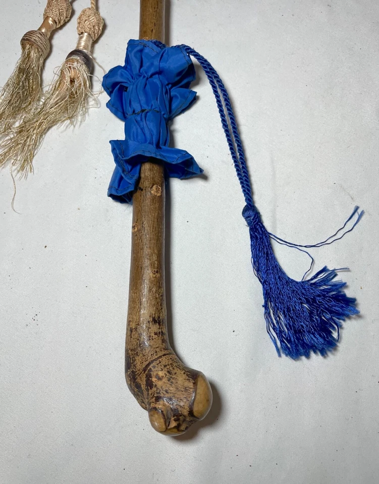 Paraguas antiguo Paragon tallado raíz madera mango madera celuloide azul Foto 3 de 4