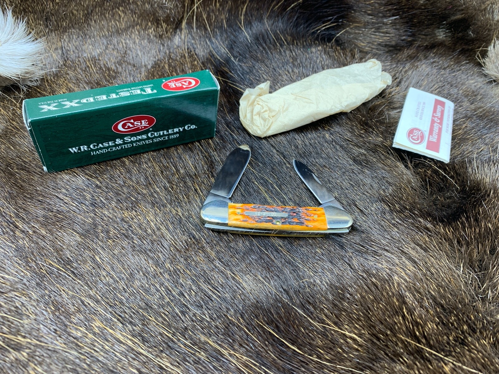 2000 Case 12-31-00 Shield Canoe Knife Gorgeous Bone Handles Mint In Box - 92B Gratis verzending, populaire verkoop!