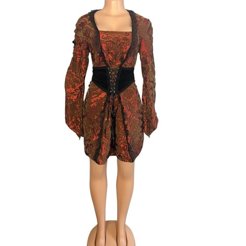 Cykxtees Vintage Kupfer Bronze Samt skurril Goth Steampunk Korsett Kleid - Bild 2 von 11
