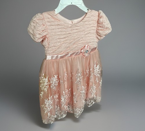 Nannette Pink Dress for Girls Elegant Dresses for Birthday Party 18-24 Month - Picture 5 of 6